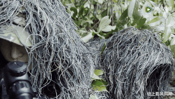 特战荣耀|《特战荣耀》配角团藏龙卧虎,认出了“尔豪”,没认出“ 石破天”