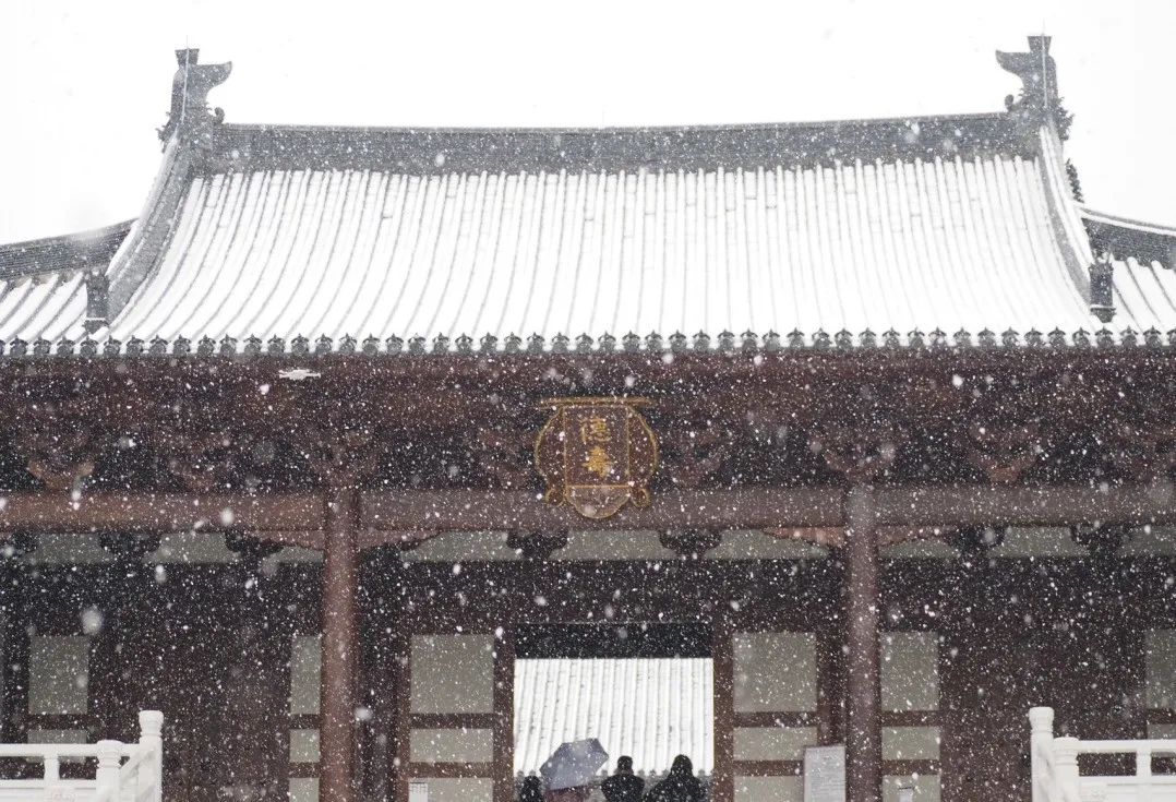 |杭州初雪问冬安
