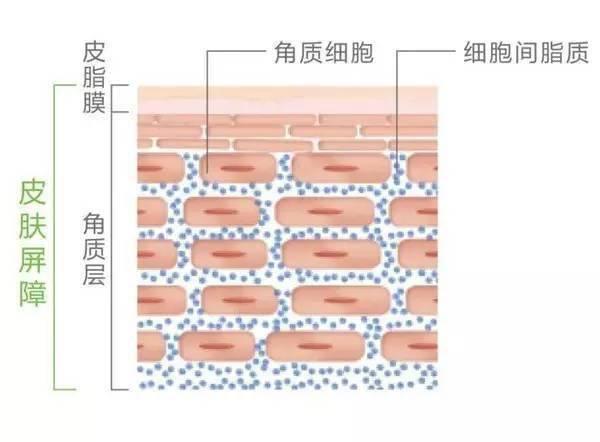 护肤品 用这么多护肤品，皮肤还是会出现痘痘暗黄斑点等问题，原因在这里