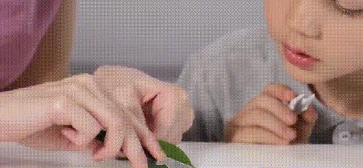 若是不差钱，让孩子尽早接触这6种物品，远离手机，还越玩越聪明