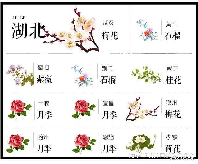 史上最全中国各城市·市花