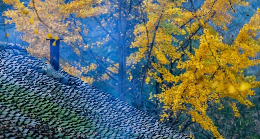 |中国值得躺平的八个原生态古村落，最适合11月份去，便宜又实惠