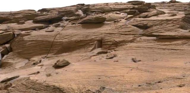 火星上发现了灌木丛?看起来诡异却真实,NASA:确实是MRO拍摄
