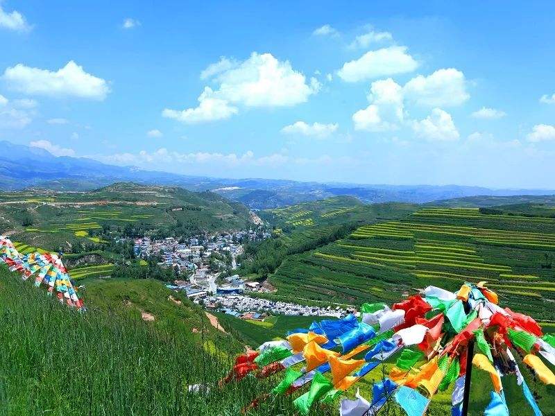 荷花|西宁生态旅游产业发展现状