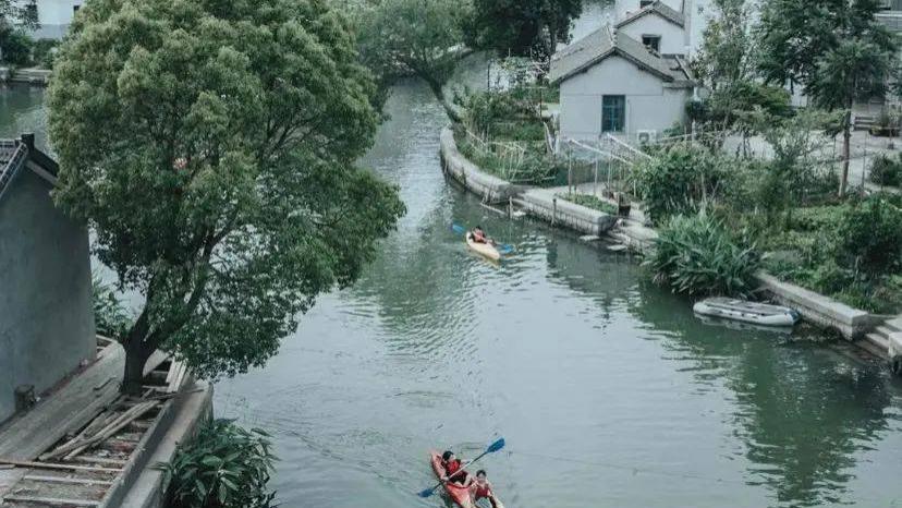 上海市|上海最美水上村落，一群高学历青年抱团生活