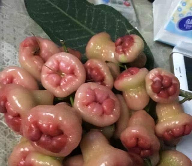 菠菜 谁说便宜没好货？！4种平价国货止痒膏比大牌好用！肉球都能没