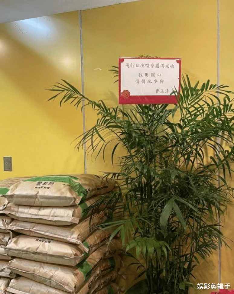 黄夏蕙|封麦3年！费玉清现身刘若英演唱会，她献出人生第一次四面台