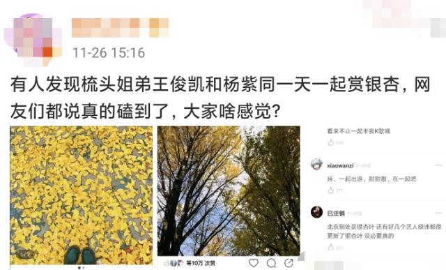 |人红是非多,杨紫因为发色受质疑,整容话题再被提起