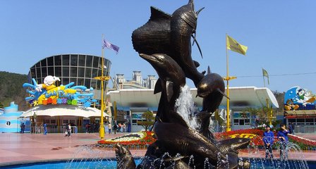 三亚|大连盛景老虎滩，极地海洋公园，等你来探索