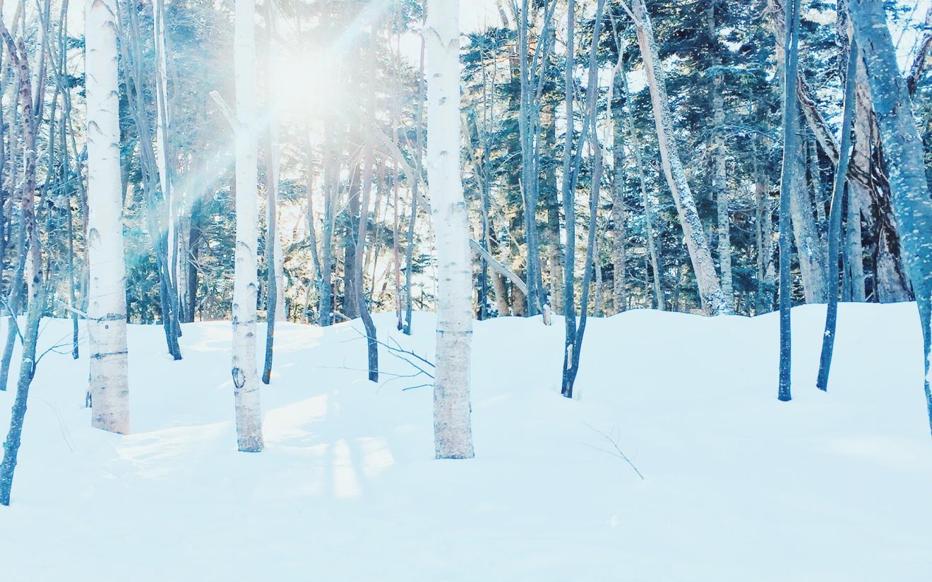 湖南|下属越来越被动,不是好事,恰恰说明领导缺乏“主动性”