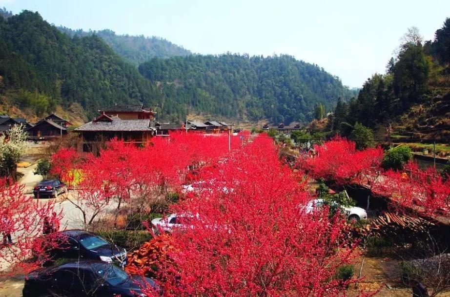 旅行|旅游不仅辛苦，消费还高，为什么人们还都喜欢旅游？