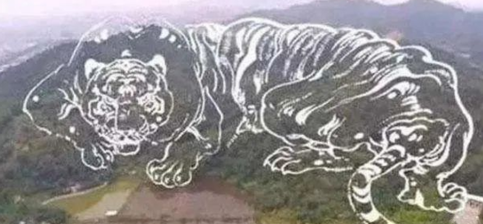 中山|荒腔走板的地师看过来