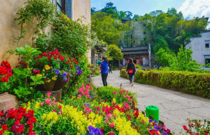 衢州|世界最美6个鲜花小镇，特别浪漫，这辈子一定要和爱人一起去