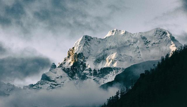 |放生大海的鱼,为什么要在鱼肚子上捅一个洞?