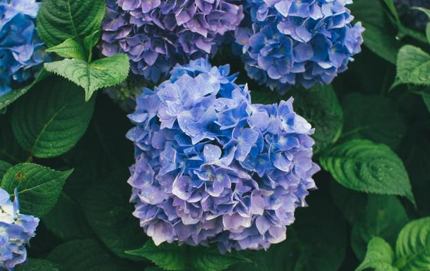 招聘|最直接的发展路径，就是用优秀的业绩来取得更大的成功