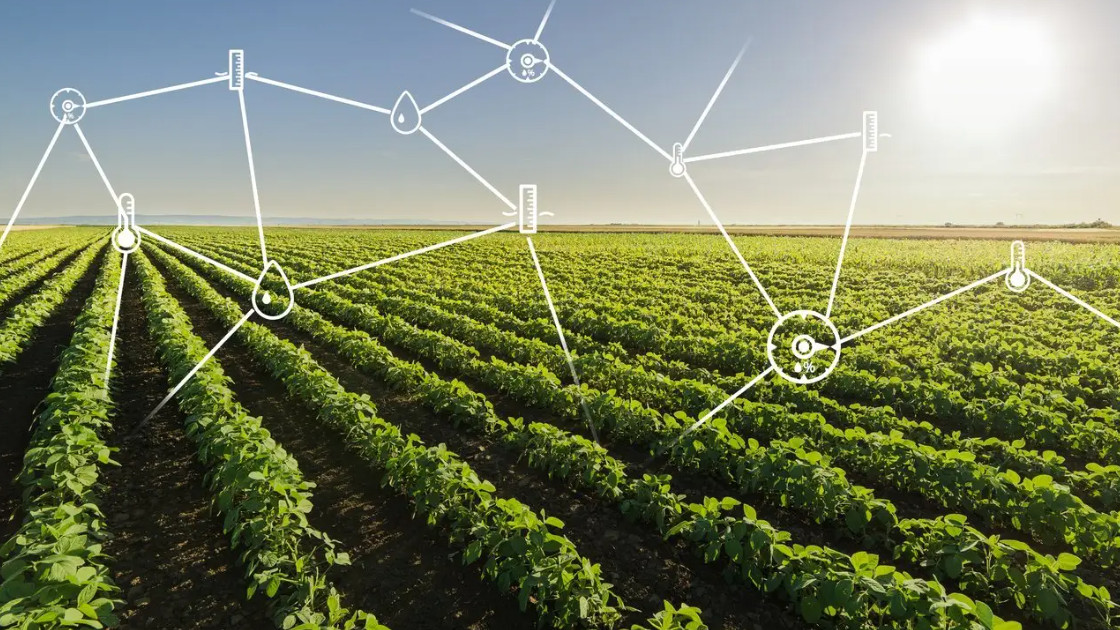 物联网|用物联网技术向智慧农业发展