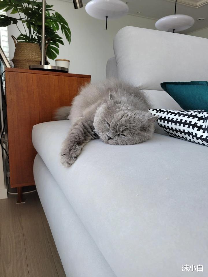 7年夫妻的99平新家,白色客厅、大红色卧室,捏了一把冷汗!