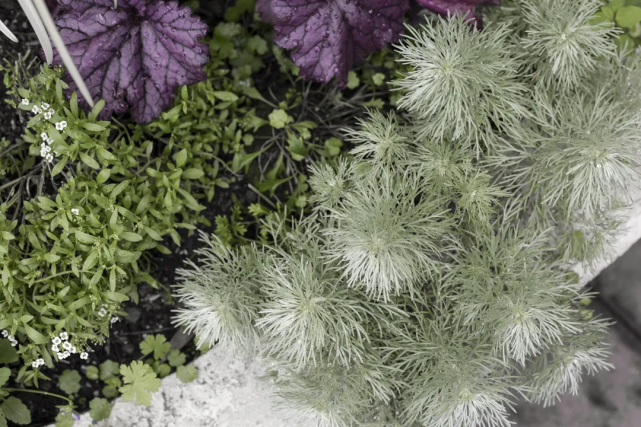 她在四川小城买下双层小楼，坐拥210㎡室内花园！过着神仙般生活