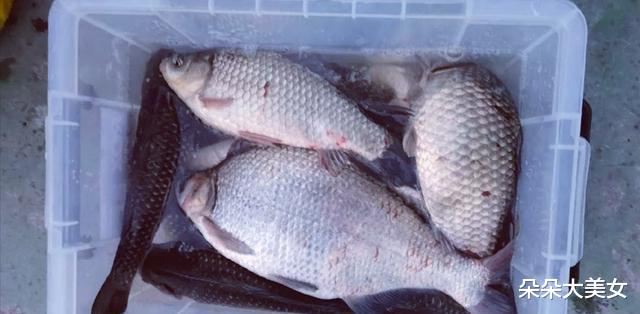 广西|广西一男子不上班沉迷于钓鱼，妻子无奈上网吐槽，网友：偷着乐吧