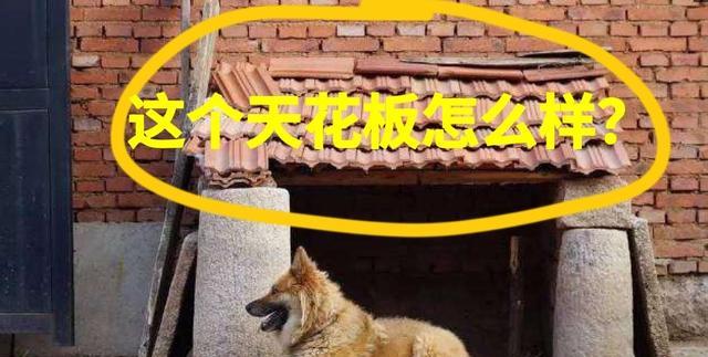 勒布朗·詹姆斯|0进球国脚连怼球迷：国足是天花板、体制问题、穷鬼球迷造成压力