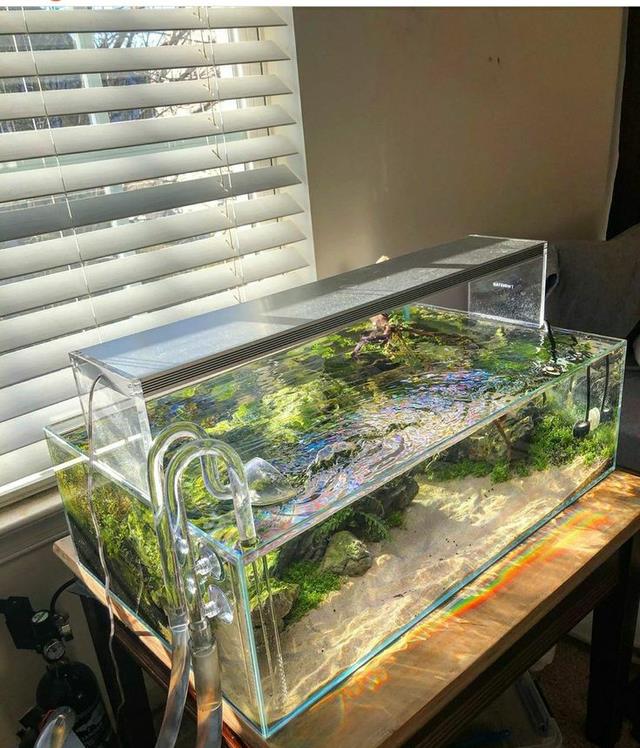 阳台不晒衣服、不种花,打算用来养鱼?这4点不注意,你还是外行