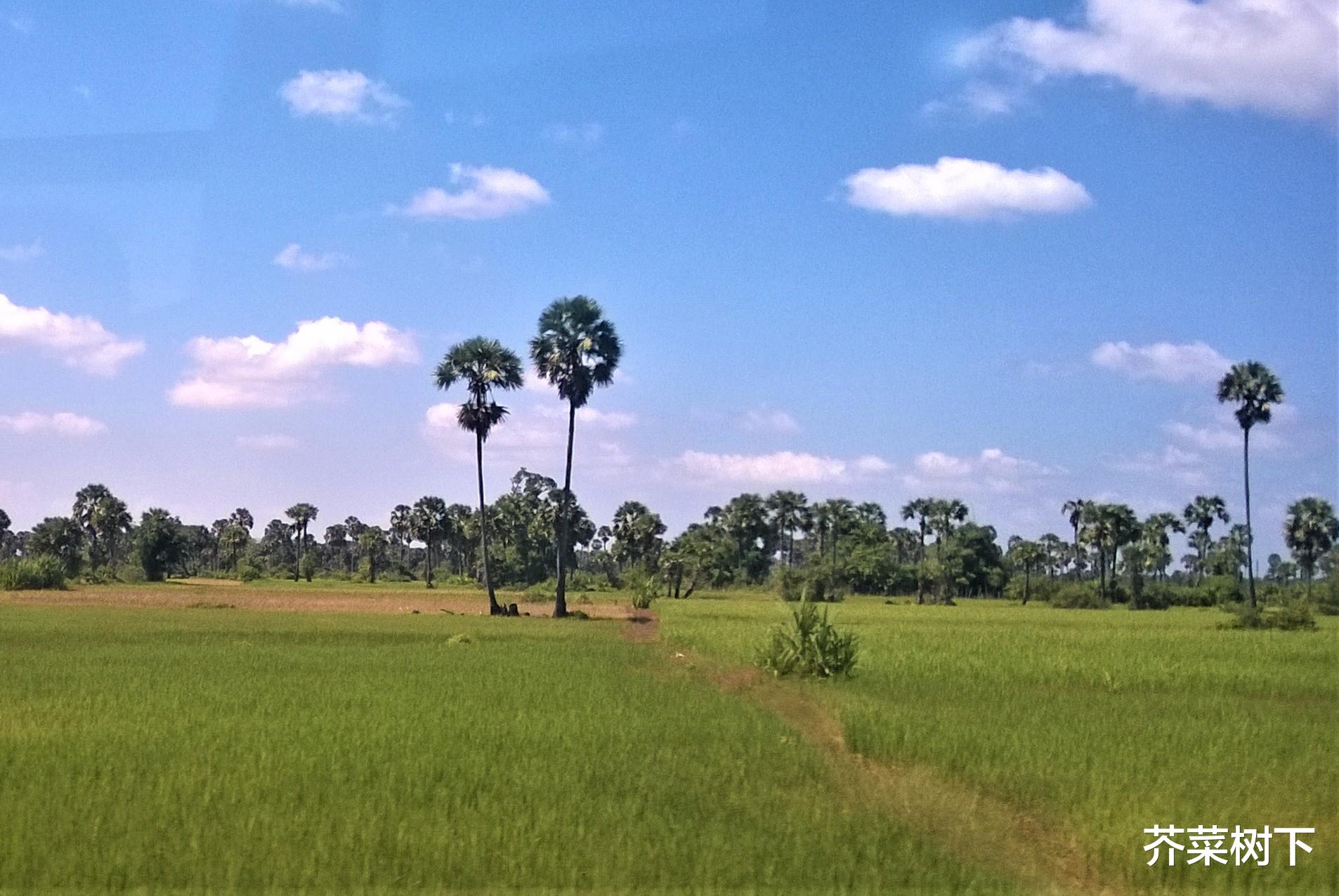 职场故事|职场坑自己之——心肠太热