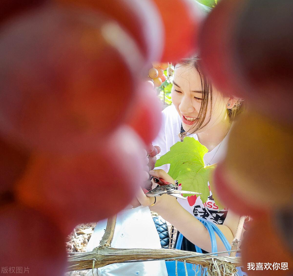 女子外出打工回来怀孕5个月,回家丈夫却说:孩子跟我姓