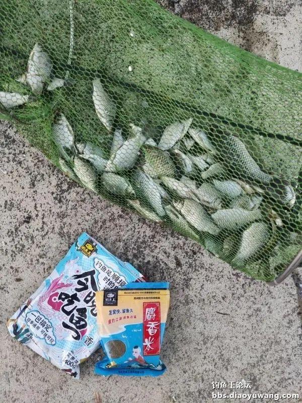 钓鱼|与天斗与人斗，斗智斗勇。今晚吃鱼终吃鱼