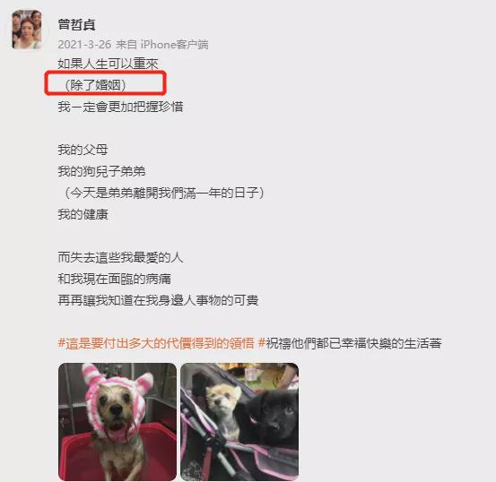 林瑞阳|张庭夫妇被全网封杀后，林瑞阳前妻被网暴了