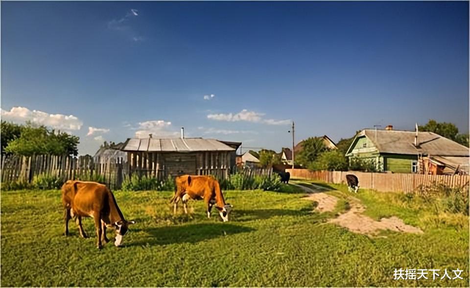 丽江|田园牧歌的生活,50张风景照片带你一起走进俄罗斯村庄的夏天