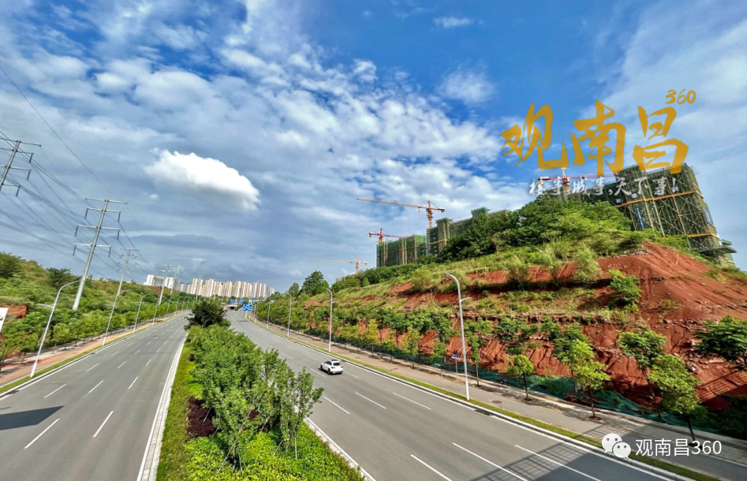 九龙湖|为什么我们会聊滨湖人文中心？