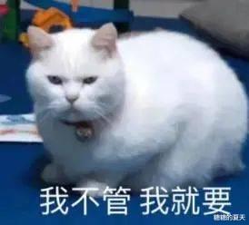金·卡戴珊 她也迷恋上卡戴珊大翘臀了？官宣分手后是要放弃当超模吗…