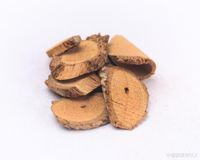 抗癌|分享抗癌良药——藤梨根，功效清热利湿、祛风除痹、解毒消肿止血