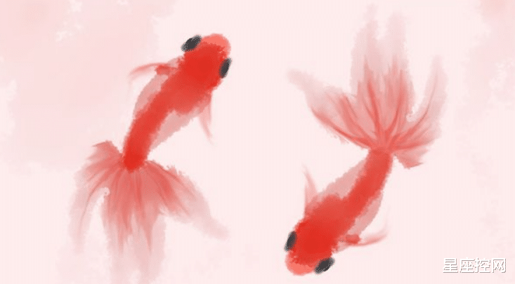 生肖|11月比10月更好运的四大生肖，赚钱无压力，翻身有望，日子有盼头