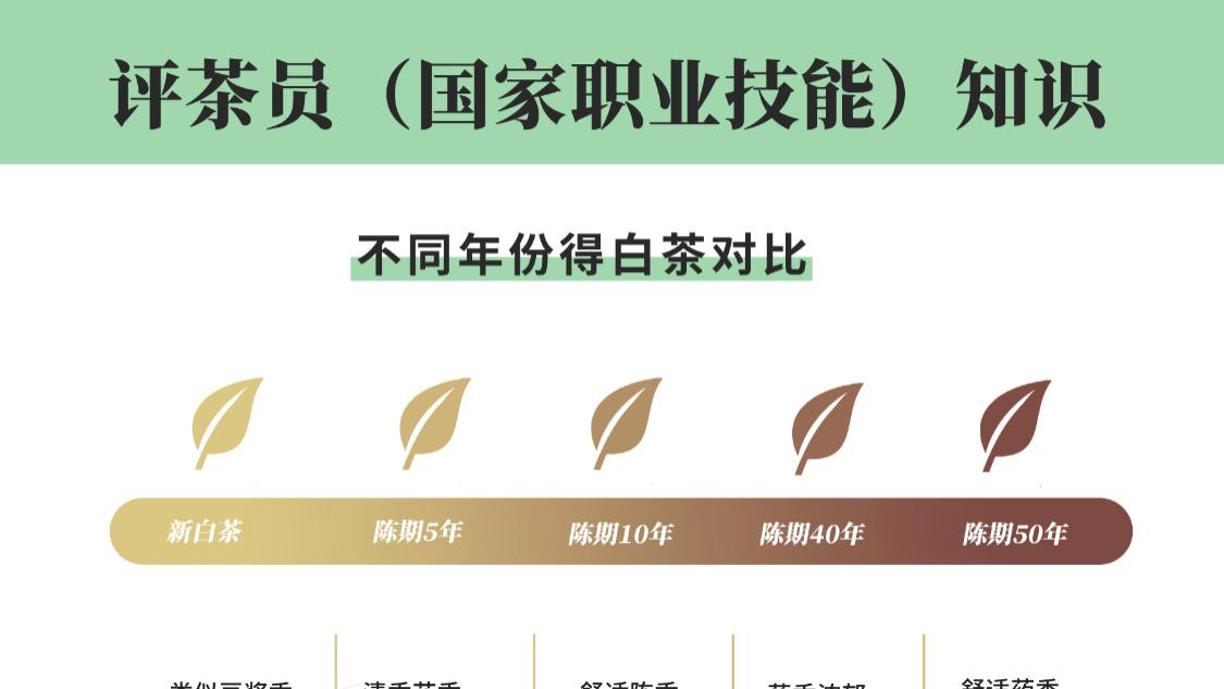 狂飙|《狂飙》大佬们真的很会喝茶，大嫂还是隐藏的白茶控？