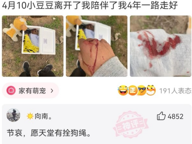 洪金宝|神回复：洪金宝在娱乐圈内的地位是不是比成龙还高？