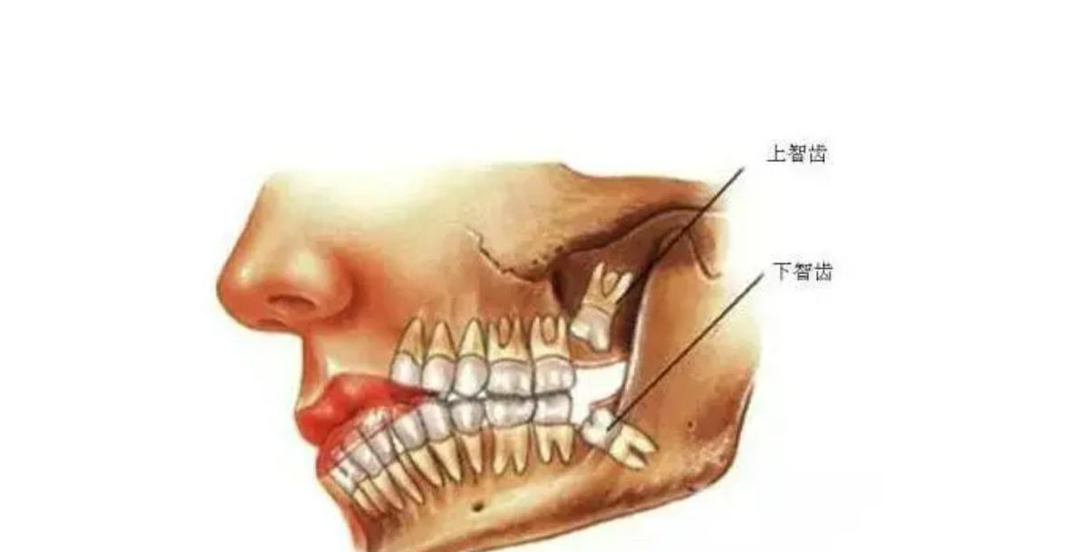 事实证明:人类仍在进化!我国科学家发现“从鱼到人”进化的证据