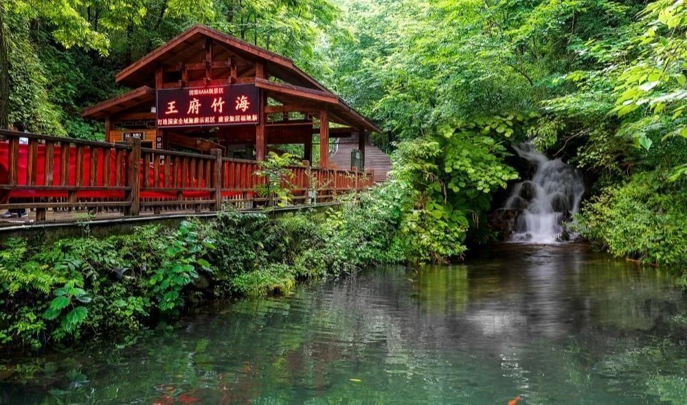 浙江省|洛阳藏着一个世外桃源竹林景点，竹多水多风景好，这几项值得打卡