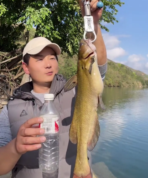 广西|广西钓友钓到3斤重黄辣丁,北方钓友认为不可能,这是真的? 假的?