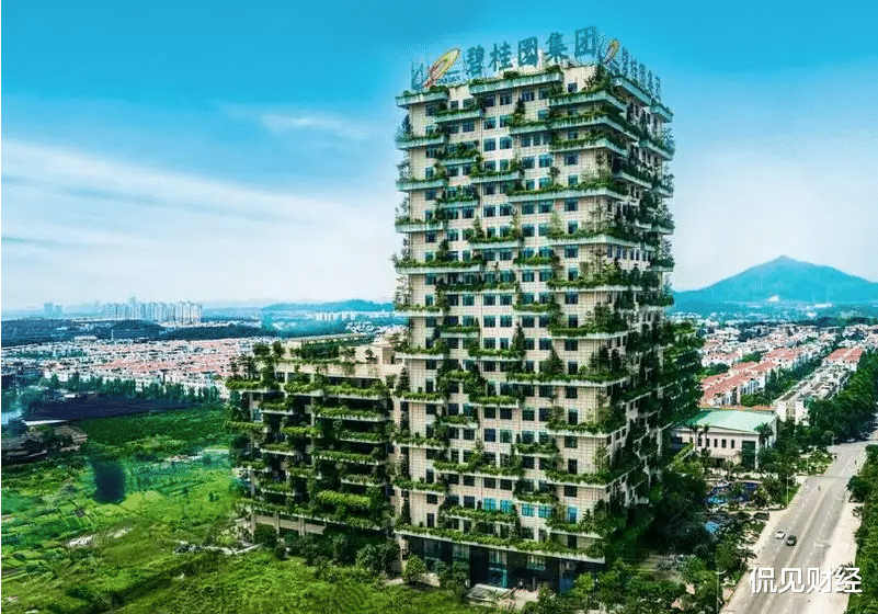 碧桂园|碧桂园有何“隐患”?