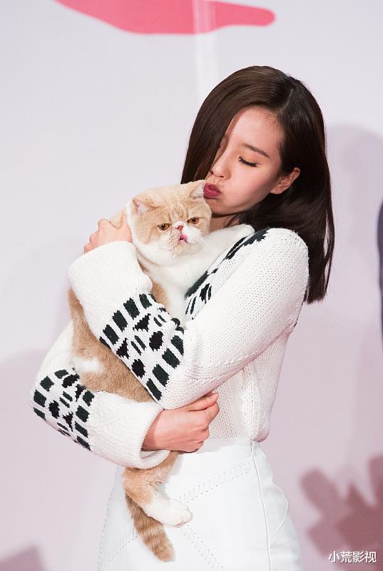 刘亦菲|许魏洲，具俊晔，刘诗诗，李亚鹏，刘亦菲，林彦俊！