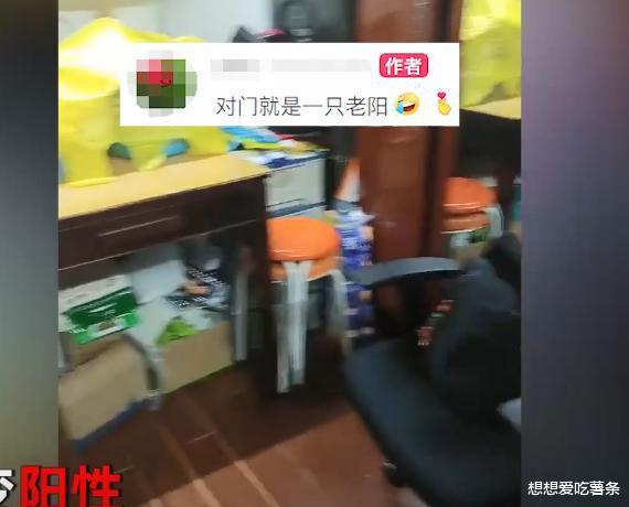 上海一女子冰箱囤满菜拒收物资，喊话“别发了”：送人都没人要！