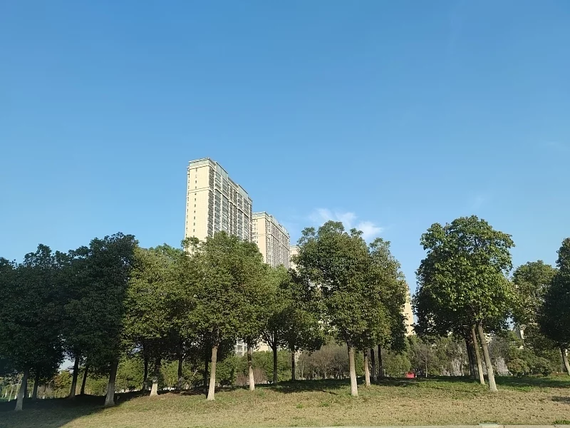 仓山|为何很多人从高层搬回多层居住？老业主坦言：4大“硬伤”难忍受