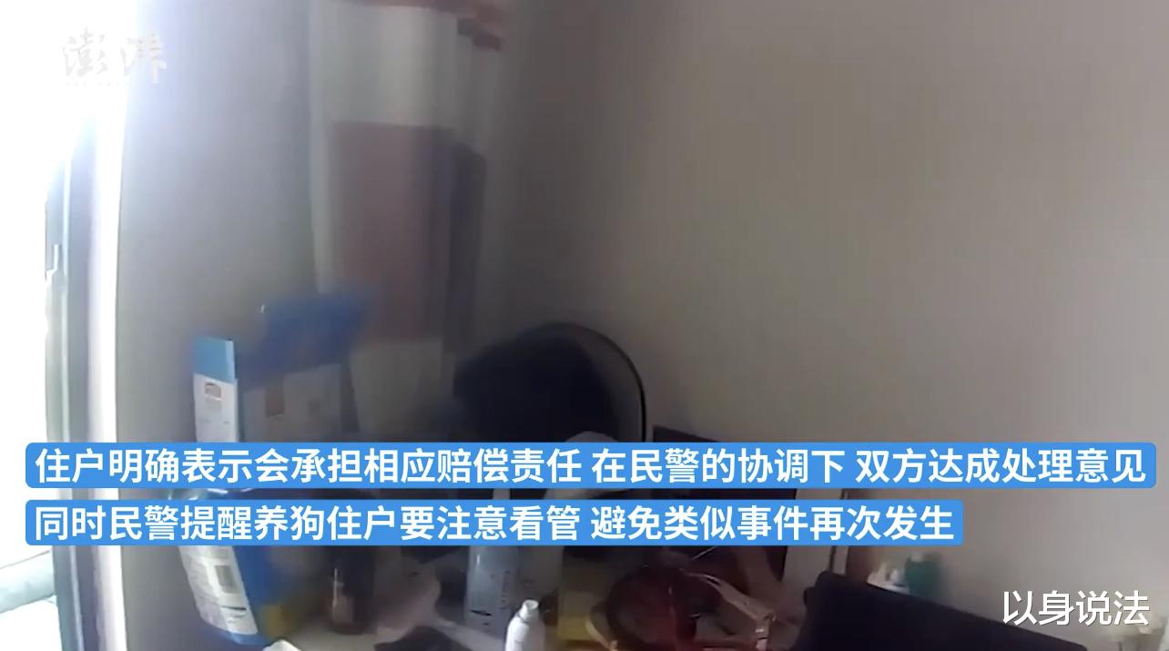 云南昆阳,宠物狗在15楼阳台玩耍时,致骨头砸伤群众