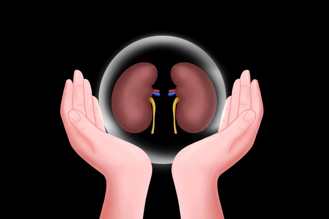 中华本草|著名中医宋立人,编写的《中华本草》被誉为“当代《本草纲目》”