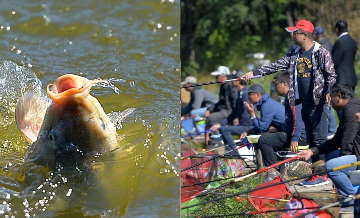 饵料|如何在鱼塘钓大鱼?这三个方法告诉你,老钓手都拍手叫好