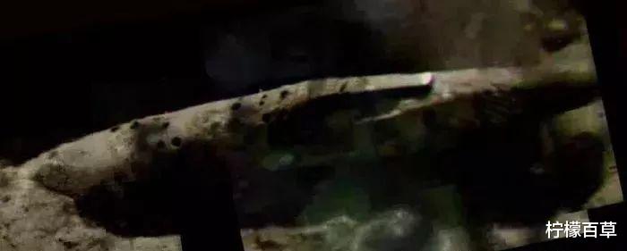 NASA隐瞒月球上的UFO?俄媒体称人类登月就可以看到外星飞船