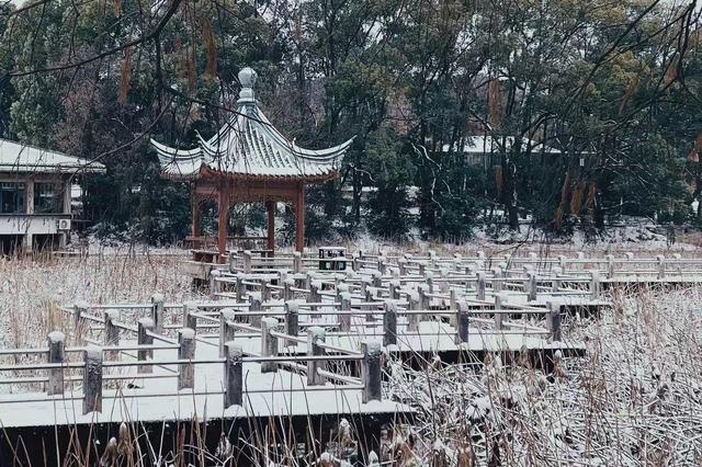 白雪|如入画境！在东湖迎接2023第一场雪