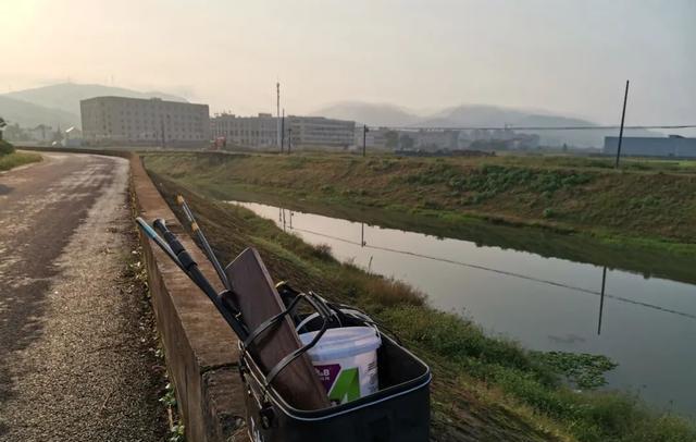 蜂蜜|野外钓鱼带几根竿合适?从两个角度分析,分享自己的用竿经验