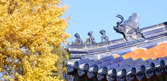 穴位|今日秋分,你知道秋分“分”的是什么吗?